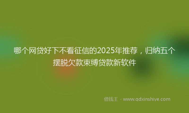 哪个网贷好下不看征信的2025年推荐，归纳五个摆脱欠款束缚贷款新软件