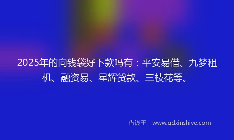 2025年的向钱袋好下款吗有：平安易借、九梦租机、融资易、星辉贷款、三枝花等。