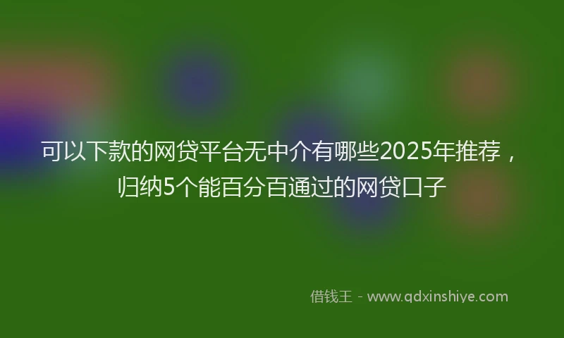 可以下款的网贷平台无中介有哪些2025年推荐，归纳5个能百分百通过的网贷口子