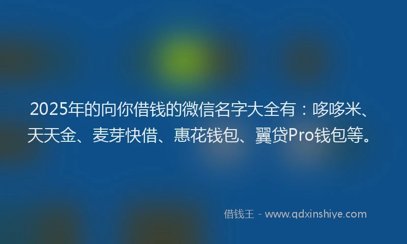 2025年的向你借钱的微信名字大全有：哆哆米、天天金、麦芽快借、惠花钱包、翼贷Pro钱包等。