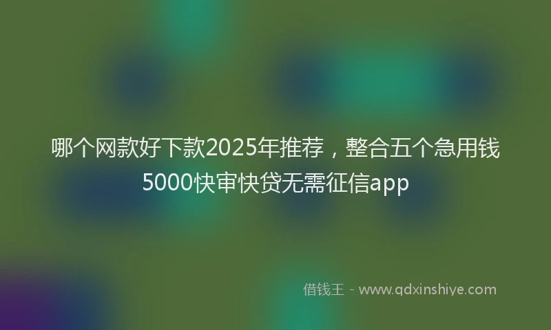 哪个网款好下款2025年推荐，整合五个急用钱5000快审快贷无需征信app