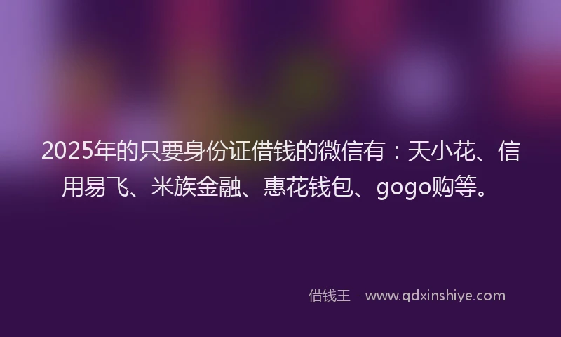 2025年的只要身份证借钱的微信有：天小花、信用易飞、米族金融、惠花钱包、gogo购等。