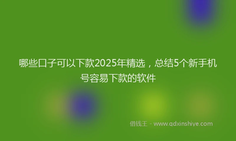 哪些口子可以下款2025年精选，总结5个新手机号容易下款的软件