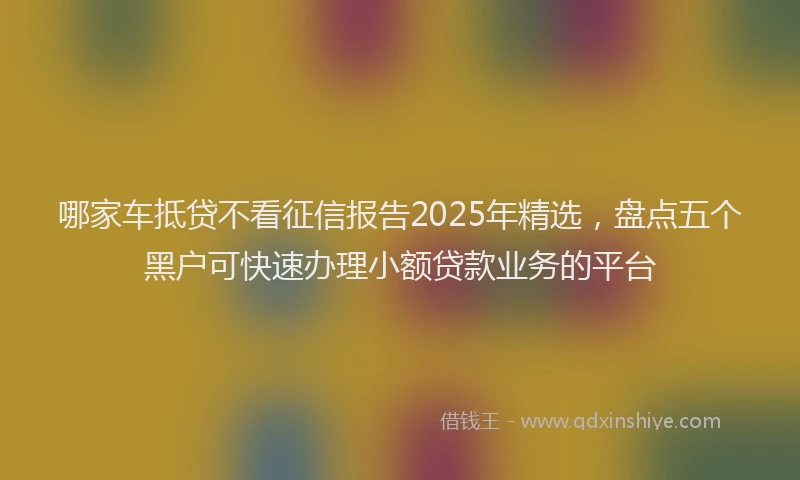 哪家车抵贷不看征信报告2025年精选，盘点五个黑户可快速办理小额贷款业务的平台