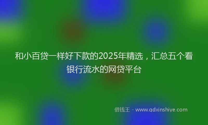 和小百贷一样好下款的2025年精选，汇总五个看银行流水的网贷平台