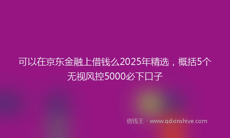 可以在京东金融上借钱么2025年精选，概括5个无视风控5000必下口子
