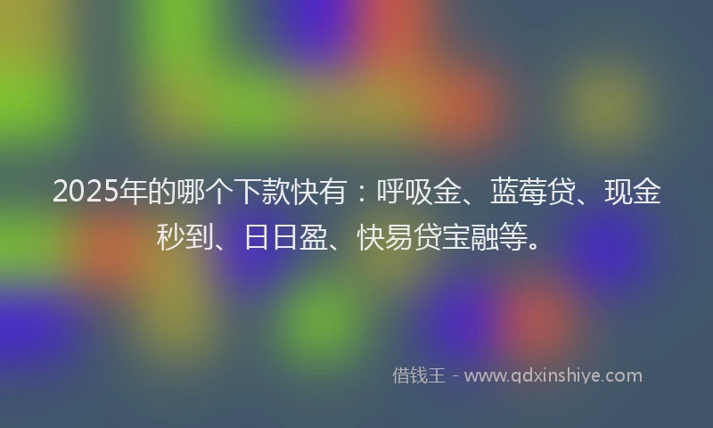 2025年的哪个下款快有：呼吸金、蓝莓贷、现金秒到、日日盈、快易贷宝融等。