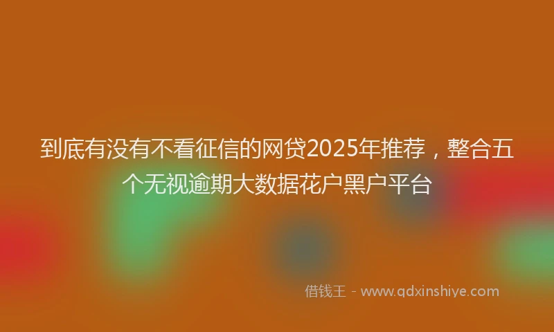 到底有没有不看征信的网贷2025年推荐，整合五个无视逾期大数据花户黑户平台