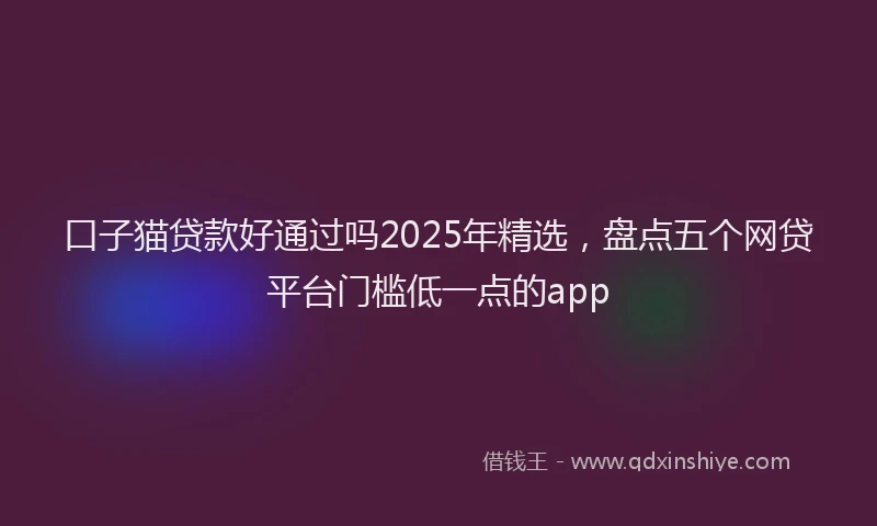 口子猫贷款好通过吗2025年精选，盘点五个网贷平台门槛低一点的app