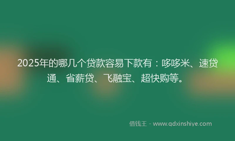 2025年的哪几个贷款容易下款有：哆哆米、速贷通、省薪贷、飞融宝、超快购等。