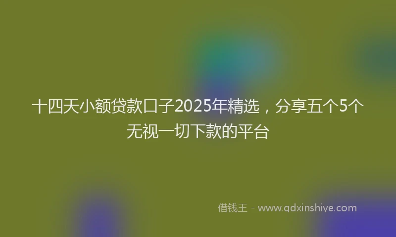 十四天小额贷款口子2025年精选，分享五个5个无视一切下款的平台