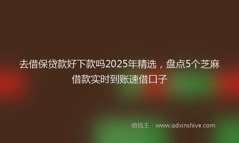 去借保贷款好下款吗2025年精选，盘点5个芝麻借款实时到账速借口子