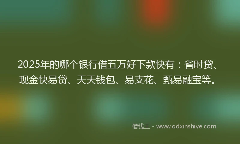 2025年的哪个银行借五万好下款快有：省时贷、现金快易贷、天天钱包、易支花、甄易融宝等。