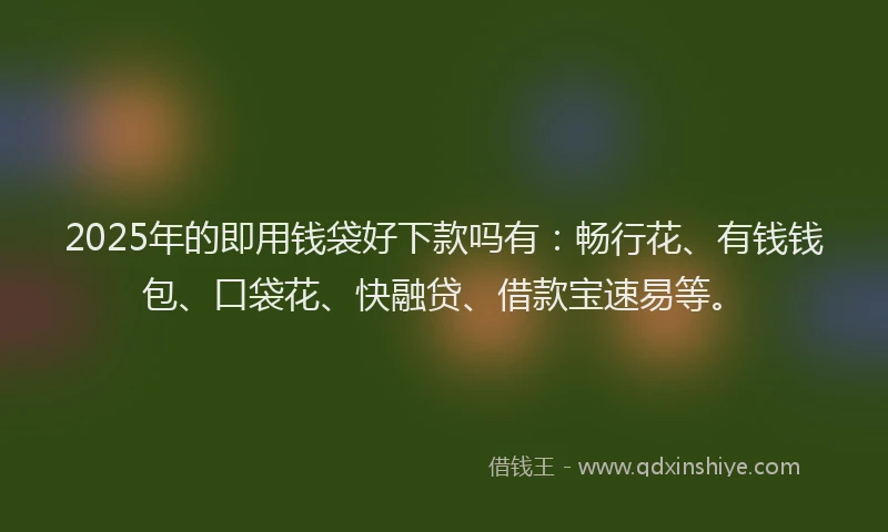 2025年的即用钱袋好下款吗有：畅行花、有钱钱包、口袋花、快融贷、借款宝速易等。