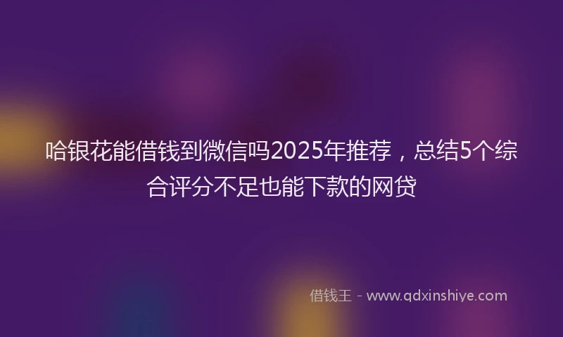 哈银花能借钱到微信吗2025年推荐，总结5个综合评分不足也能下款的网贷