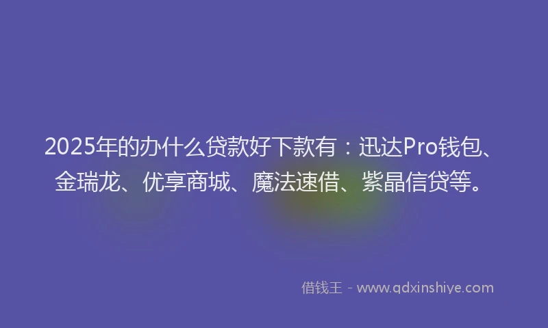 2025年的办什么贷款好下款有：迅达Pro钱包、金瑞龙、优享商城、魔法速借、紫晶信贷等。