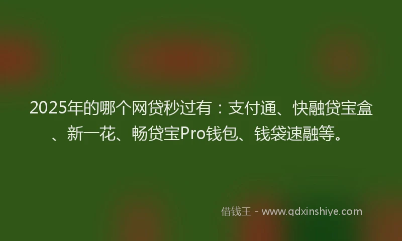 2025年的哪个网贷秒过有：支付通、快融贷宝盒、新一花、畅贷宝Pro钱包、钱袋速融等。