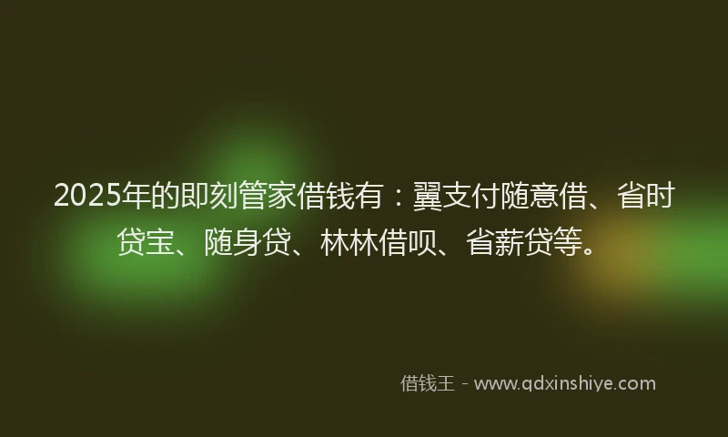 2025年的即刻管家借钱有：翼支付随意借、省时贷宝、随身贷、林林借呗、省薪贷等。