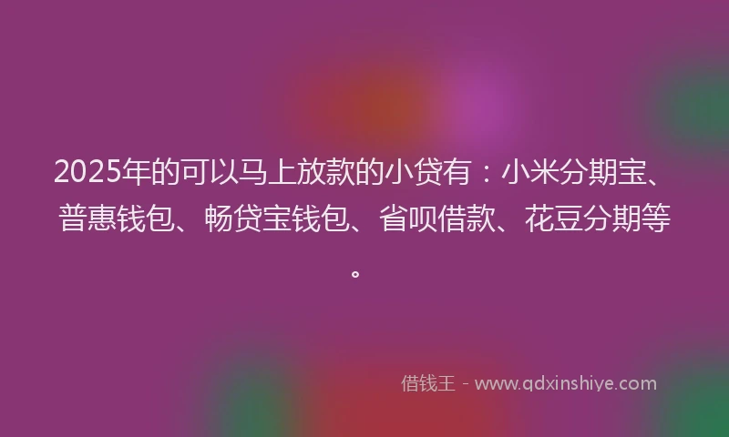 2025年的可以马上放款的小贷有：小米分期宝、普惠钱包、畅贷宝钱包、省呗借款、花豆分期等。
