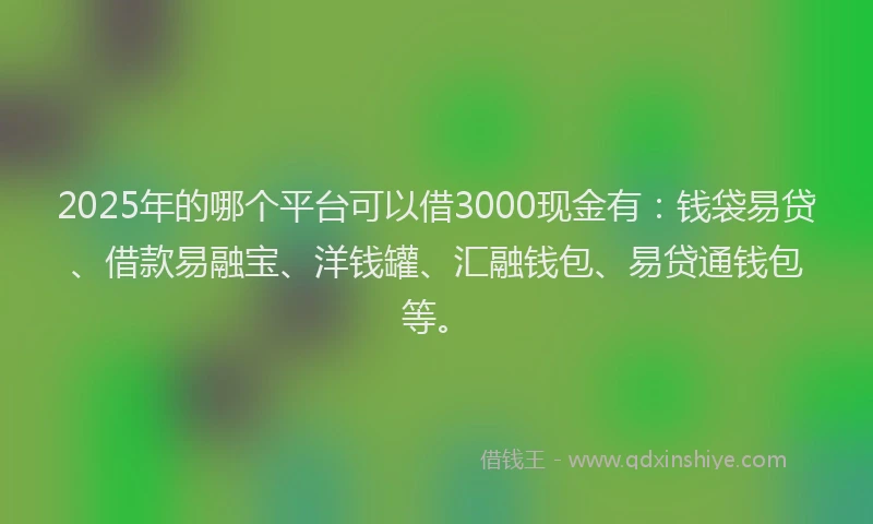 2025年的哪个平台可以借3000现金有：钱袋易贷、借款易融宝、洋钱罐、汇融钱包、易贷通钱包等。