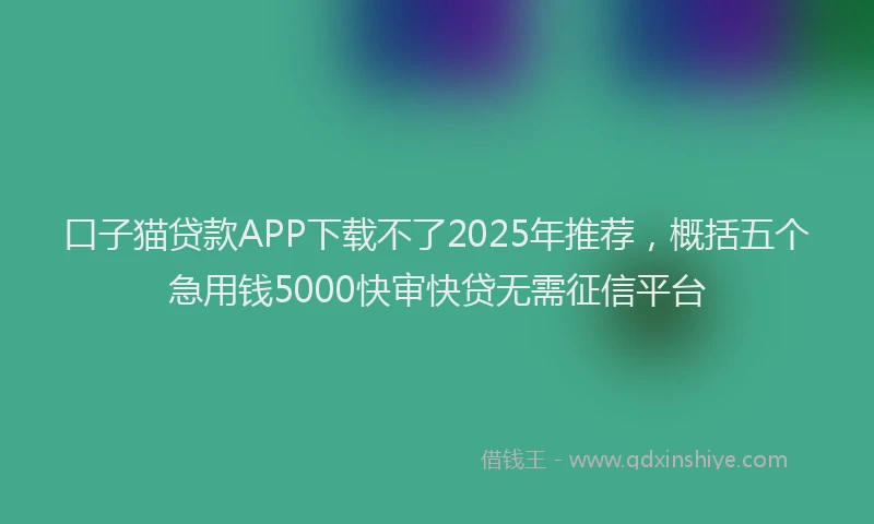 口子猫贷款APP下载不了2025年推荐，概括五个急用钱5000快审快贷无需征信平台