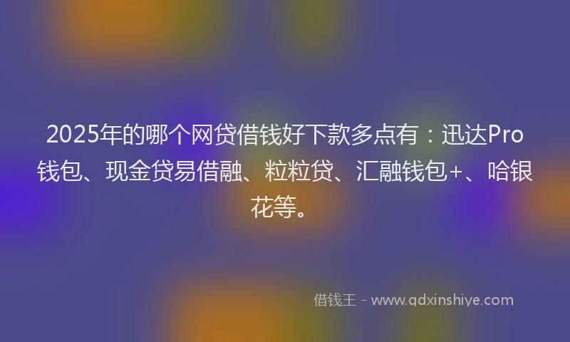 2025年的哪个网贷借钱好下款多点有：迅达Pro钱包、现金贷易借融、粒粒贷、汇融钱包+、哈银花等。