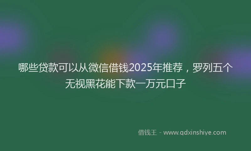 哪些贷款可以从微信借钱2025年推荐，罗列五个无视黑花能下款一万元口子