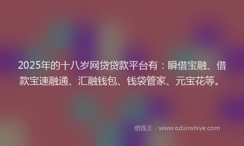 2025年的十八岁网贷贷款平台有：瞬借宝融、借款宝速融通、汇融钱包、钱袋管家、元宝花等。