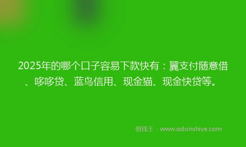 2025年的哪个口子容易下款快有：翼支付随意借、哆哆贷、蓝鸟信用、现金猫、现金快贷等。