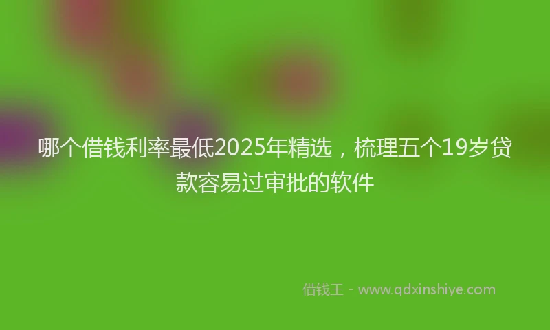 哪个借钱利率最低2025年精选，梳理五个19岁贷款容易过审批的软件