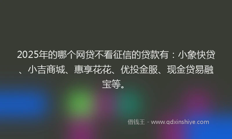 2025年的哪个网贷不看征信的贷款有：小象快贷、小吉商城、惠享花花、优投金服、现金贷易融宝等。