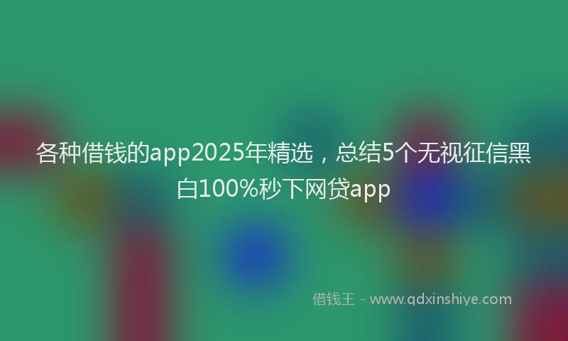 各种借钱的app2025年精选，总结5个无视征信黑白100%秒下网贷app
