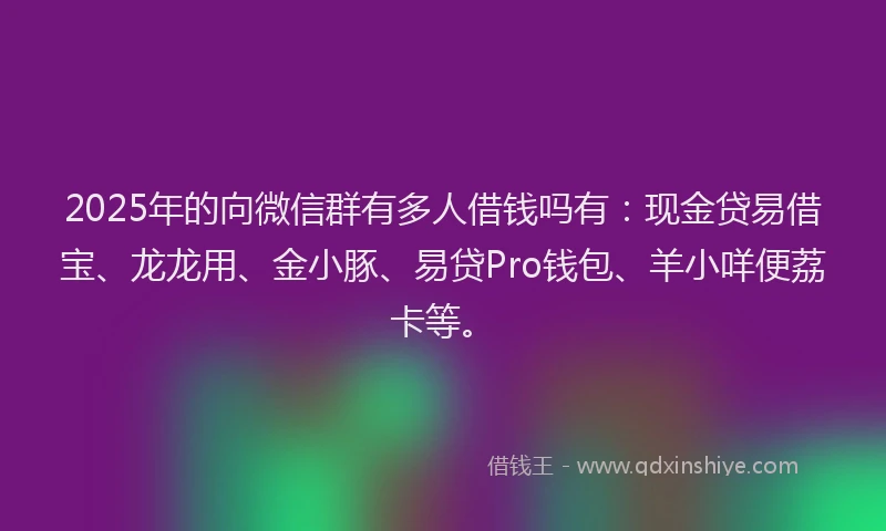 2025年的向微信群有多人借钱吗有：现金贷易借宝、龙龙用、金小豚、易贷Pro钱包、羊小咩便荔卡等。