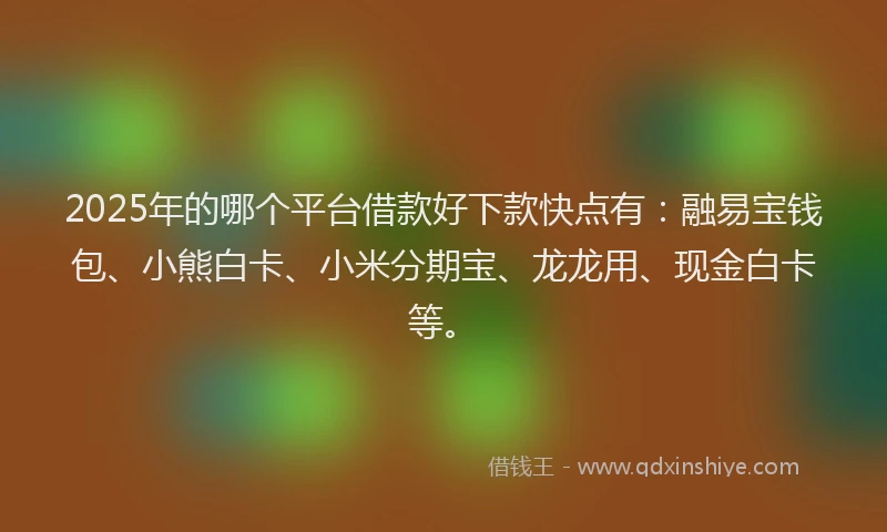 2025年的哪个平台借款好下款快点有：融易宝钱包、小熊白卡、小米分期宝、龙龙用、现金白卡等。