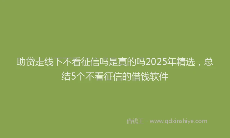 助贷走线下不看征信吗是真的吗2025年精选，总结5个不看征信的借钱软件