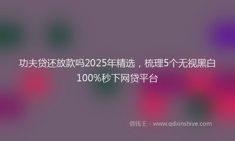 功夫贷还放款吗2025年精选，梳理5个无视黑白100%秒下网贷平台