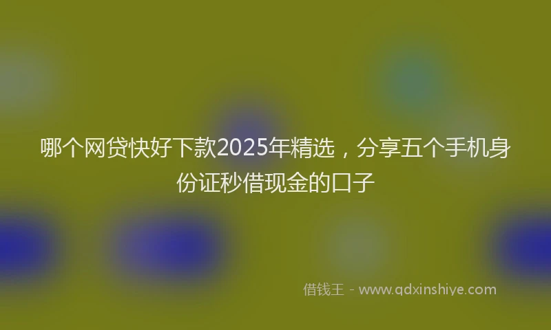 哪个网贷快好下款2025年精选，分享五个手机身份证秒借现金的口子