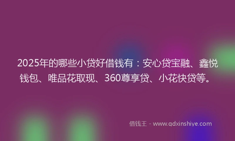 2025年的哪些小贷好借钱有：安心贷宝融、鑫悦钱包、唯品花取现、360尊享贷、小花快贷等。