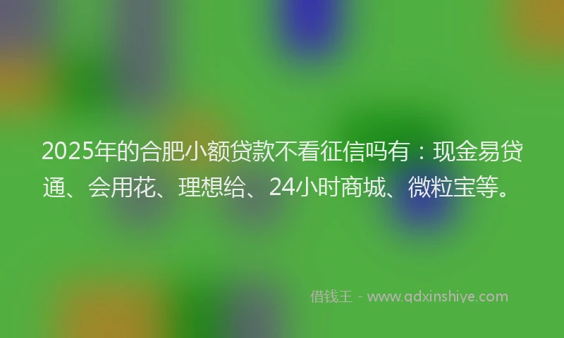 2025年的合肥小额贷款不看征信吗有：现金易贷通、会用花、理想给、24小时商城、微粒宝等。