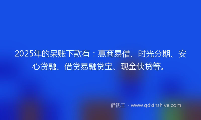 2025年的呆账下款有：惠商易借、时光分期、安心贷融、借贷易融贷宝、现金侠贷等。