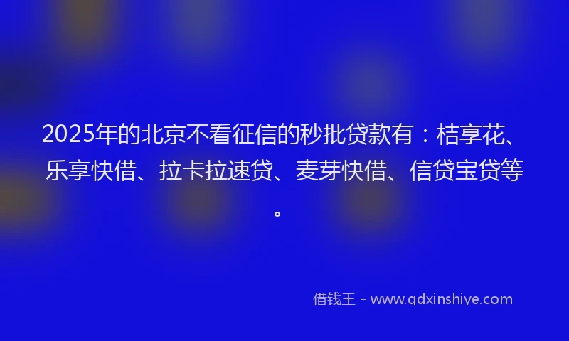 2025年的北京不看征信的秒批贷款有：桔享花、乐享快借、拉卡拉速贷、麦芽快借、信贷宝贷等。