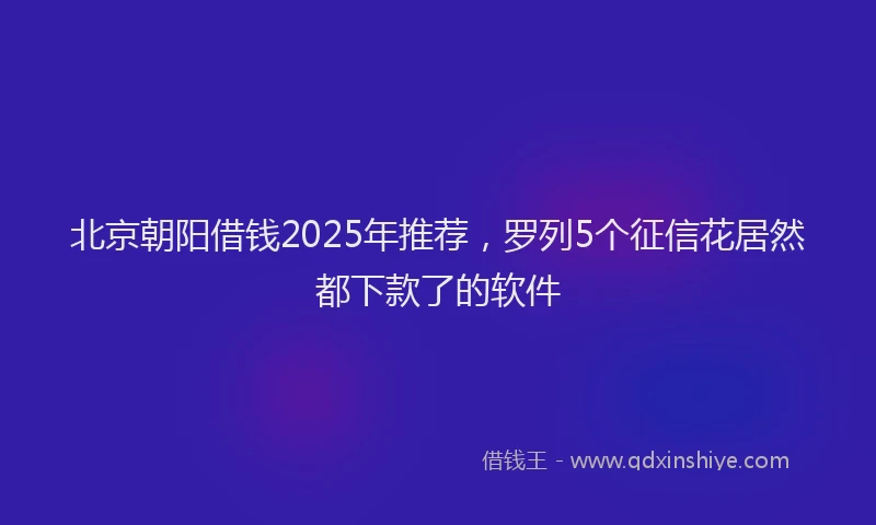 北京朝阳借钱2025年推荐，罗列5个征信花居然都下款了的软件