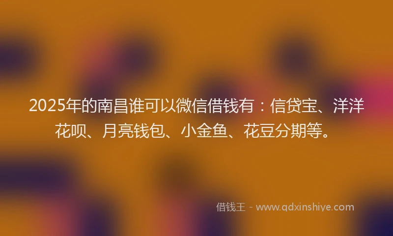 2025年的南昌谁可以微信借钱有：信贷宝、洋洋花呗、月亮钱包、小金鱼、花豆分期等。