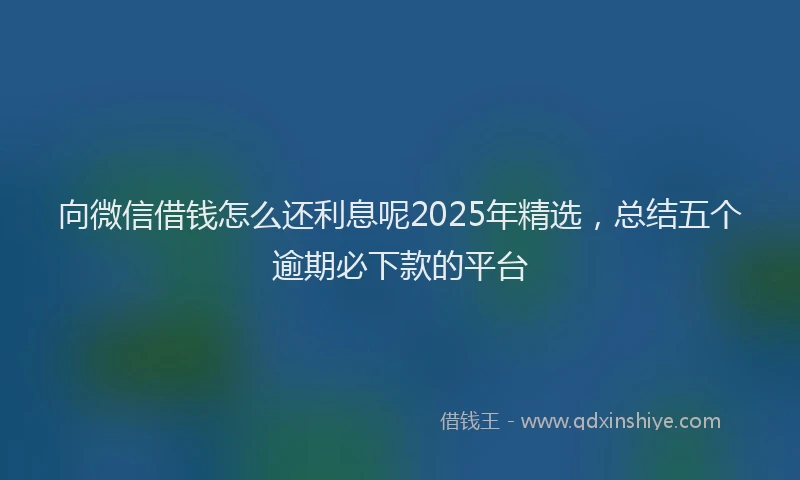 向微信借钱怎么还利息呢2025年精选，总结五个逾期必下款的平台