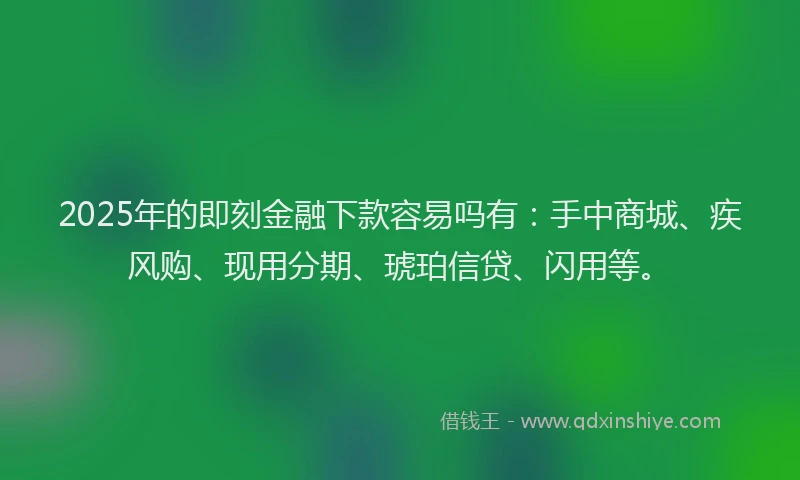 2025年的即刻金融下款容易吗有：手中商城、疾风购、现用分期、琥珀信贷、闪用等。