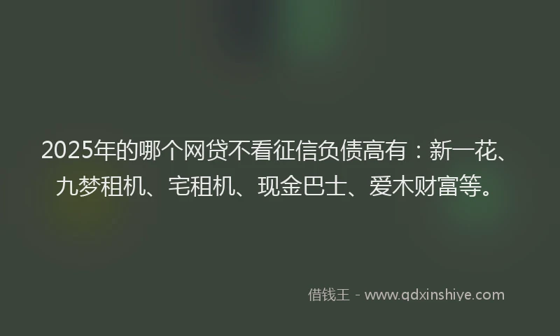 2025年的哪个网贷不看征信负债高有：新一花、九梦租机、宅租机、现金巴士、爱木财富等。