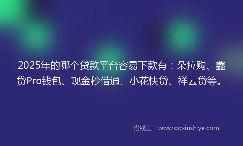 2025年的哪个贷款平台容易下款有：朵拉购、鑫贷Pro钱包、现金秒借通、小花快贷、祥云贷等。