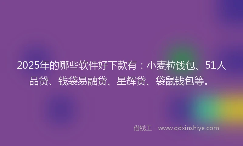 2025年的哪些软件好下款有：小麦粒钱包、51人品贷、钱袋易融贷、星辉贷、袋鼠钱包等。