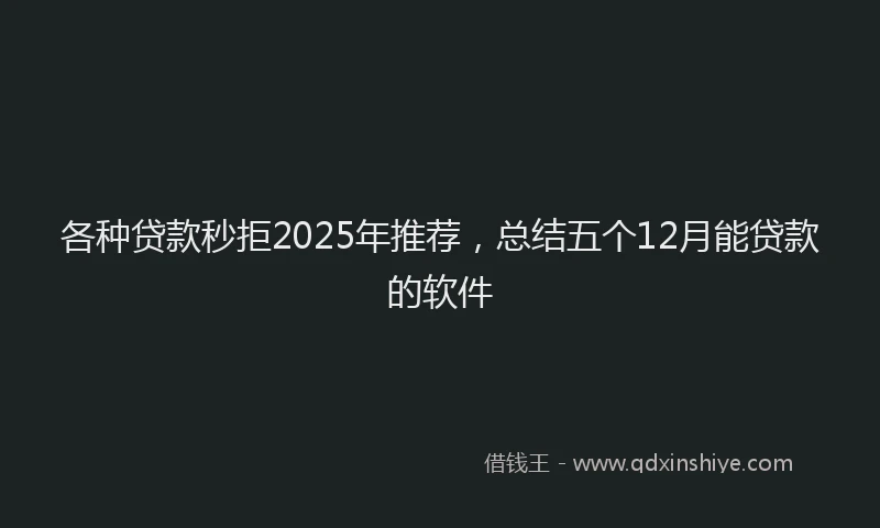 各种贷款秒拒2025年推荐，总结五个12月能贷款的软件