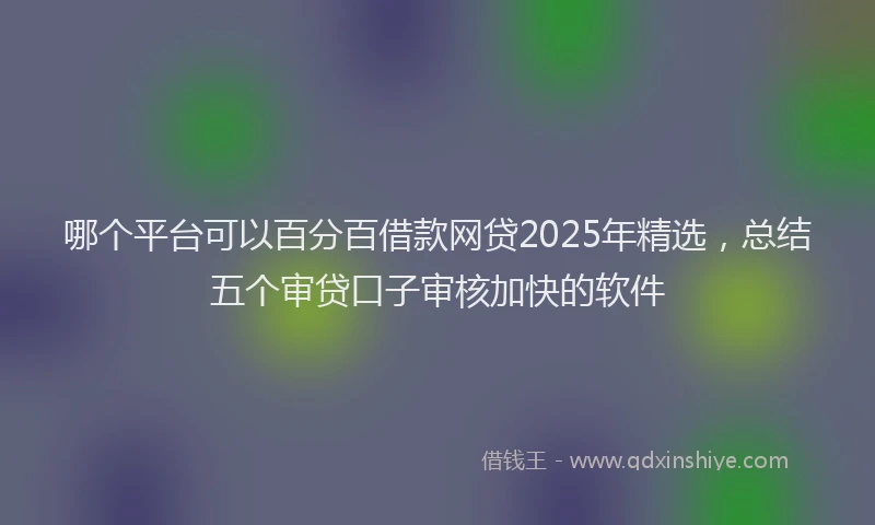 哪个平台可以百分百借款网贷2025年精选，总结五个审贷口子审核加快的软件